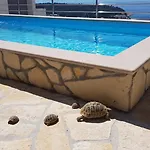 Sukara Μακάρσκα